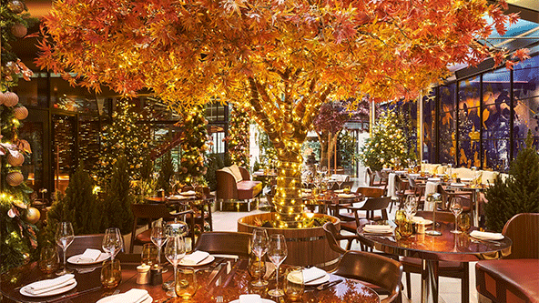 Festive restaurant dining room with a glowing autumn tree centerpiece, warm lights, and set tables for dinner.