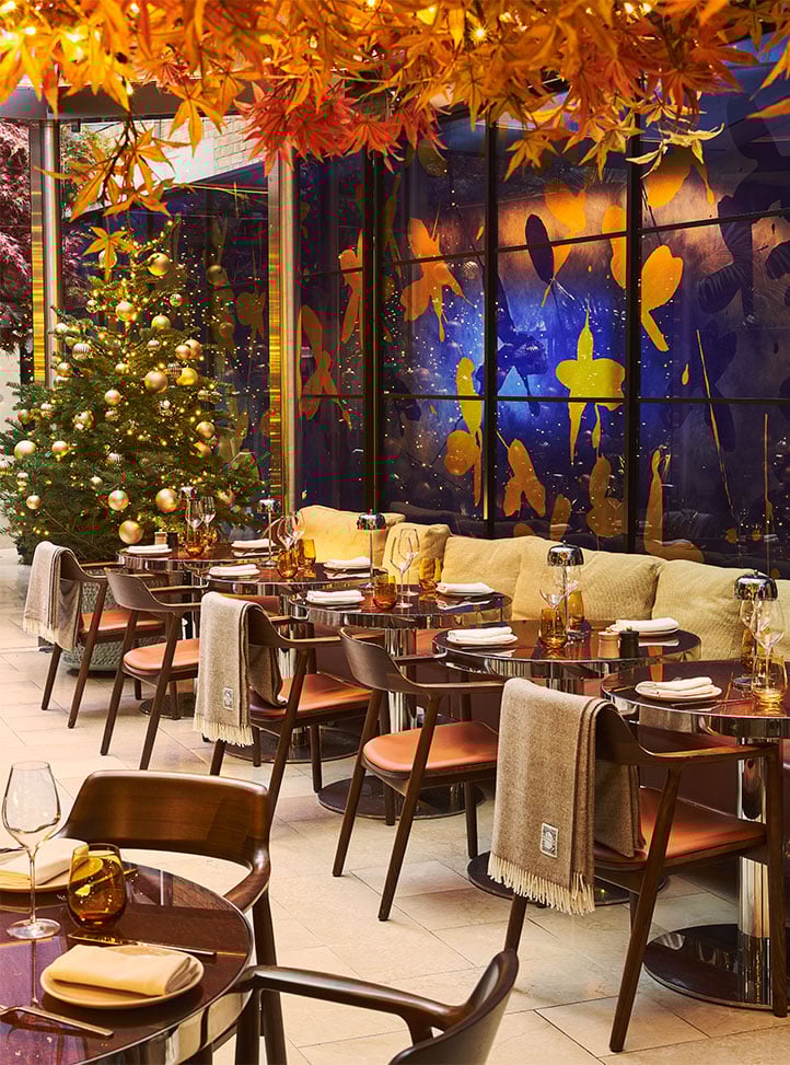Festive restaurant with a decorated Christmas tree, glowing autumn leaves overhead and tables set for dining.