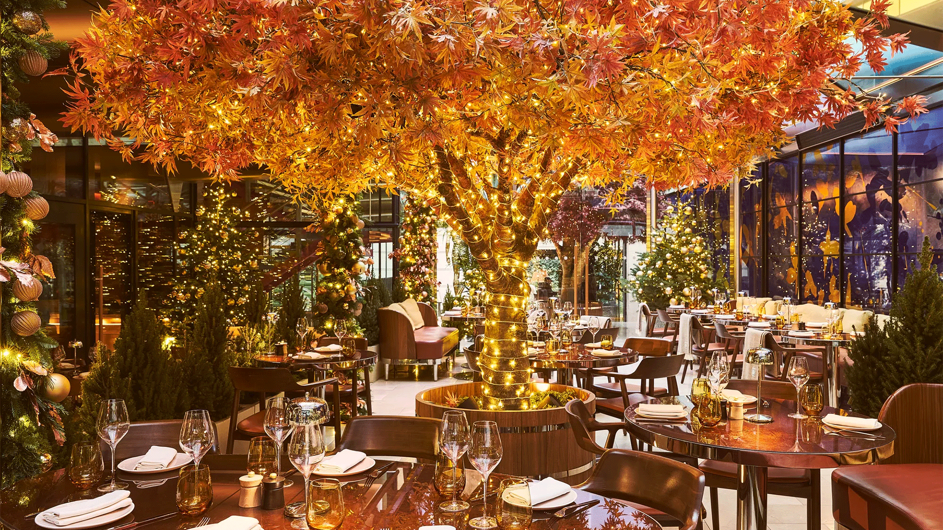Festive courtyard dining space with a glowing autumn tree centerpiece, twinkling lights, and elegantly set tables.