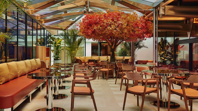 The outside space of The Emory Bar with many brown wooden tables and a centrepiece of a statement tree with orange leaves